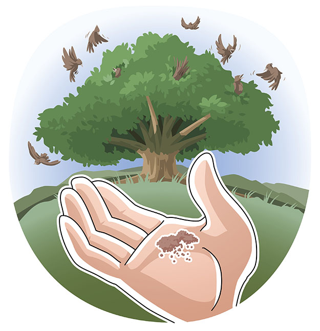 Parable of the Mustard Seed